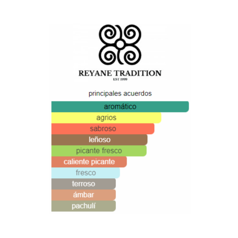 Perfume Reyane Tradition One Day Legend Intense - 100 ml - Eau de Parfum - Hombre - Image 2