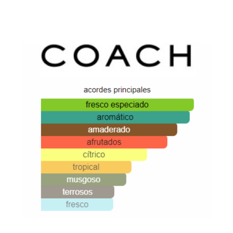 Perfume Coach New York Green - 100 ml - EDT- Hombre - Image 2